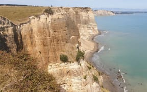 The Cape Kidnappers'  slip from a cliff taken in January 2020.
