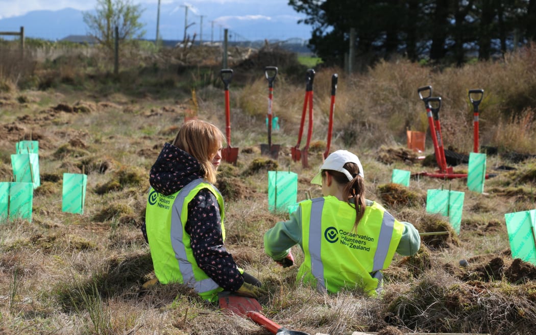 The Eyrewell skink habitat restoration school day
