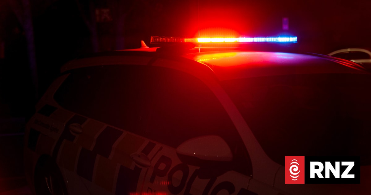 Police hunt for duo following reports of Upper Hutt robbery and car-jacking