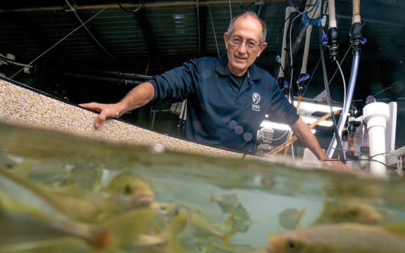 NIWA chief scientist aquaculture Andrew Forsythe.
