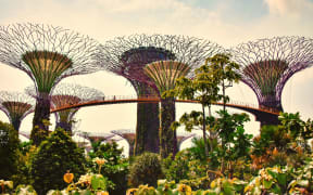 Six manmade 'supertrees' tower over a tropical garden and raised walkway