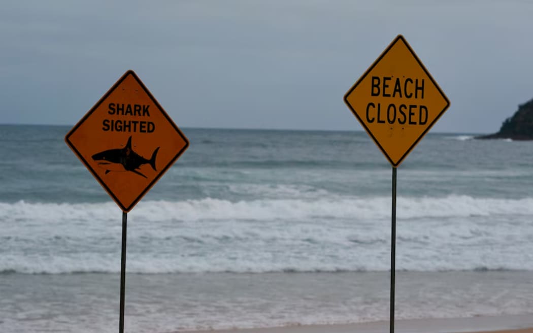 All northern beaches have been closed until further notice. (ABC News: Gavin Coote)