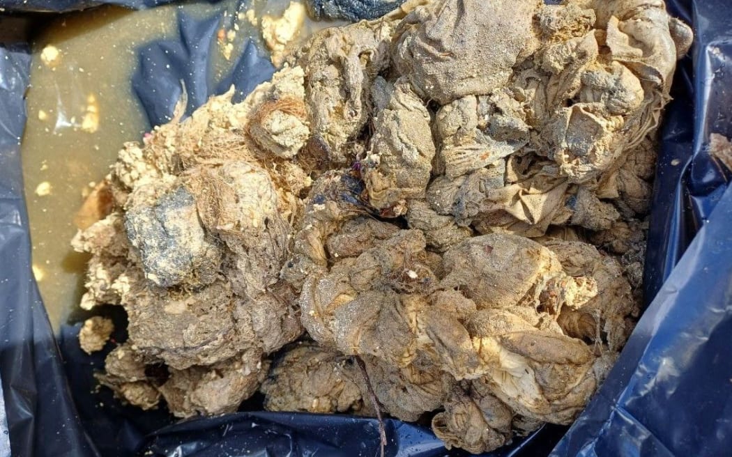 It cost more than $60,000 to clear blockages from Tasman's wastewater network in 2025