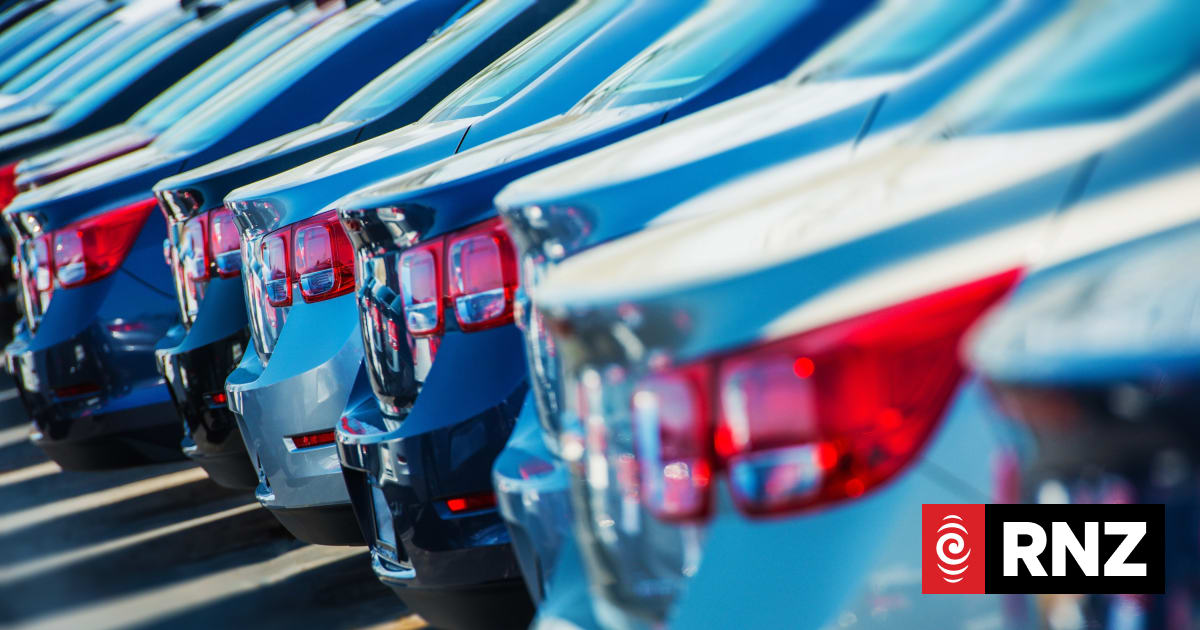 Wellington councillors mull free weekend parking over festive season