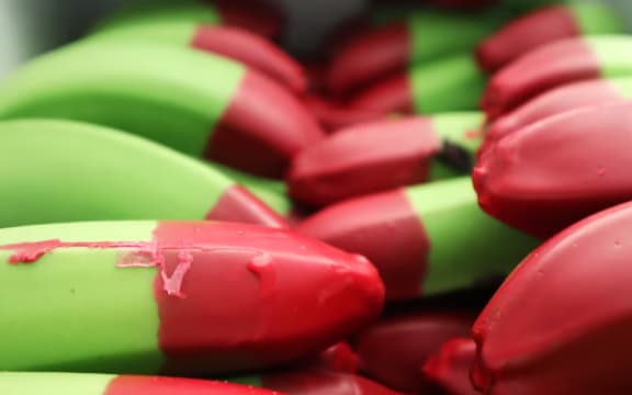 Red wax tipped bananas have gone viral on social media.