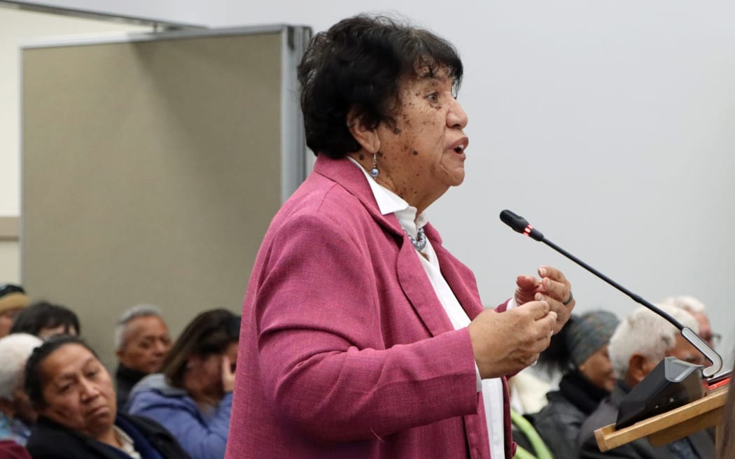 Mabel Wharekawa-Burt asked councillors to take a chance.