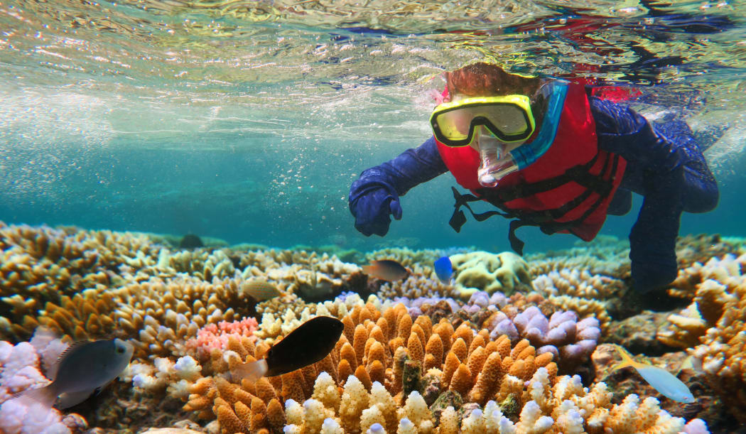 Great Barrier Reef, Queensland.