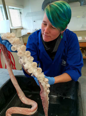 A woman with short blue hair, a blue lab coat and blue gloves holds up a large tentacle with giant suckers.