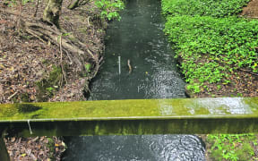 The Duke Street stormwater drain in Ōpōtiki