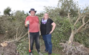 Andrew and Cathie Gould have spent a week trying to replant the olive trees they lost when the tornado tore through their orchard.