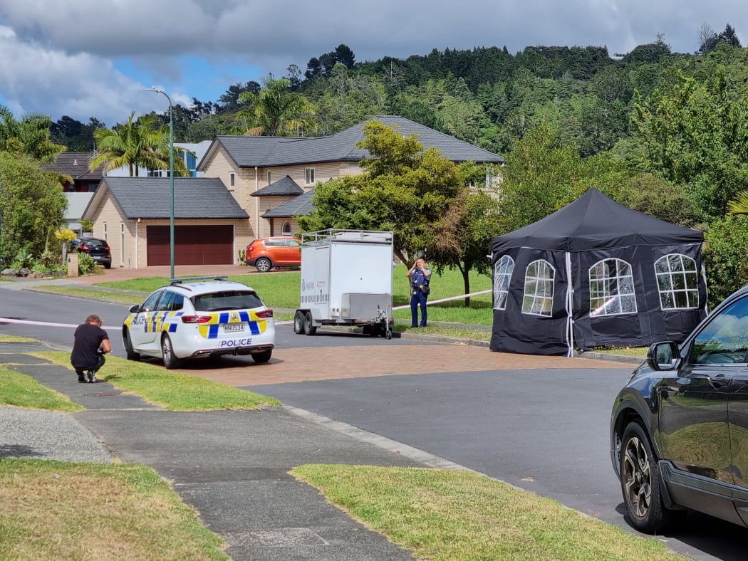 A man died after an early morning altercation in the Auckland suburb of Albany.