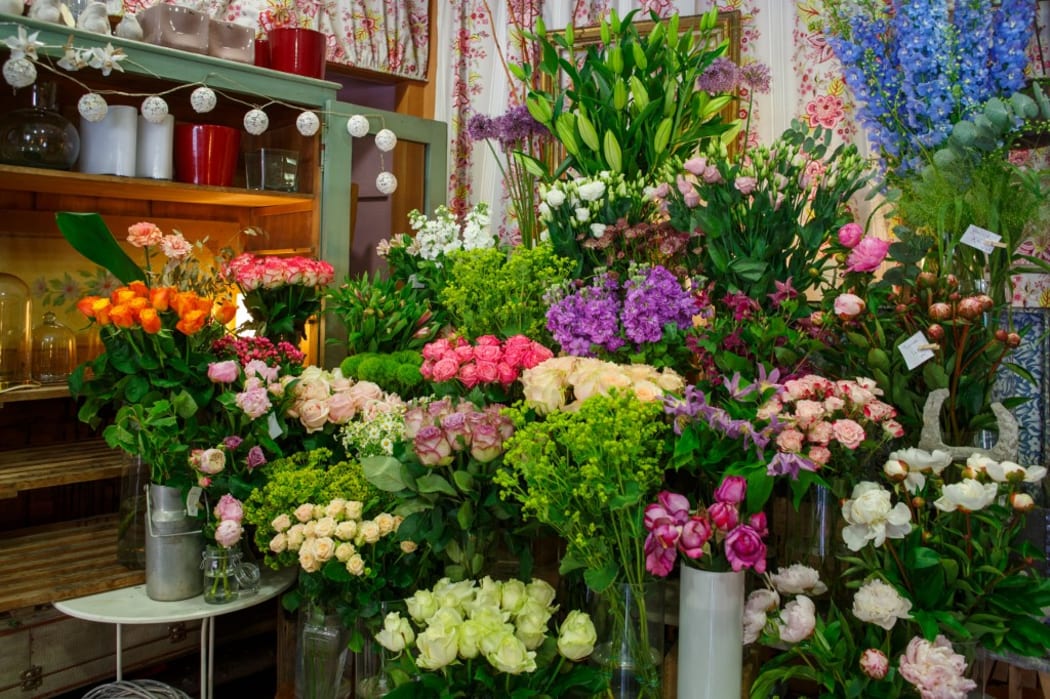 France, Ile de France region, Paris 14th arrondissement, rue d'Alésia, flower shop, M'Effleure la Muse