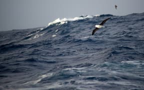 Antarctic Ocean