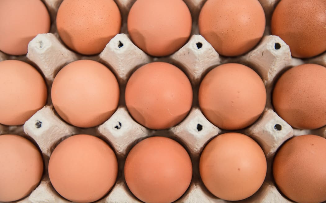 Generic eggs in cartons
