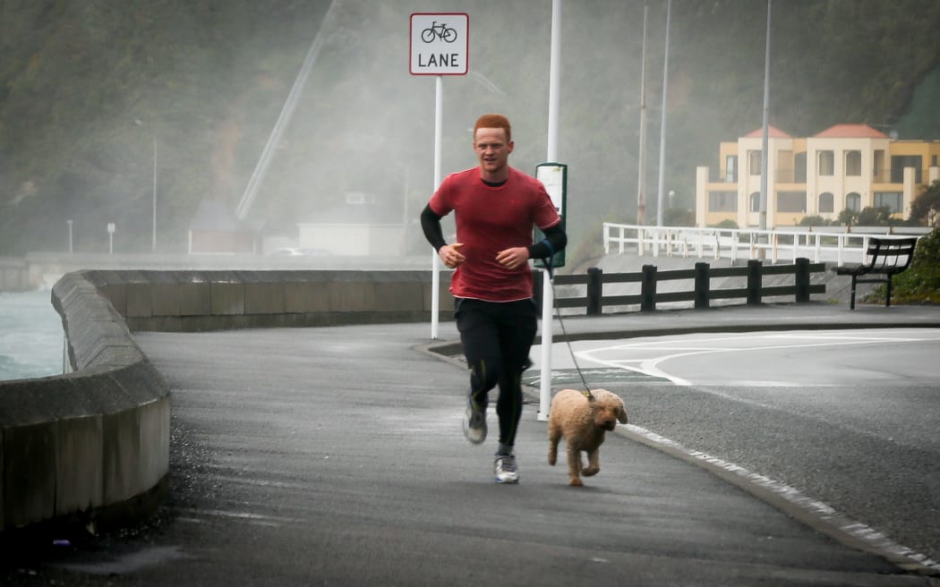 A keen Wellingtonian battling the wild winds that are pounding Evans Bay.
