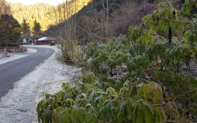 Beautiful but bleak - a minus 9C frost in Reefton on 2 July.