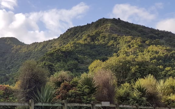 Waikereru Ecosanctuary near Gisborne includes regenerating forest on steep hillsides, and was set up by Dame Anne and Jeremy Salmond.