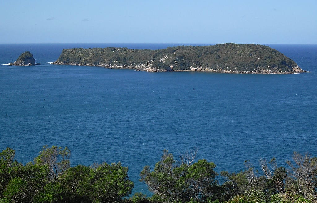Mahurangi / Goat Island