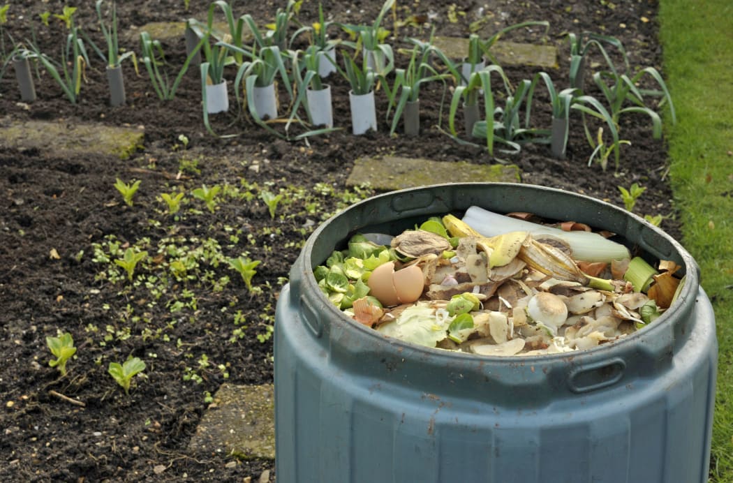 Garden compost bin for recycling kitchen food and garden waste including fruit and vegetable peelings, tea bags and egg shells.