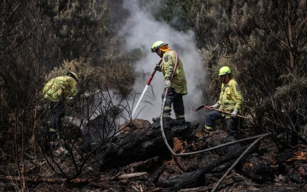 A history of New Zealand's wildfires - and what's to come | RNZ