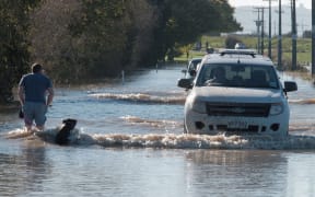 A man and his dog make their way through the floodwaters in Edgecumbe.