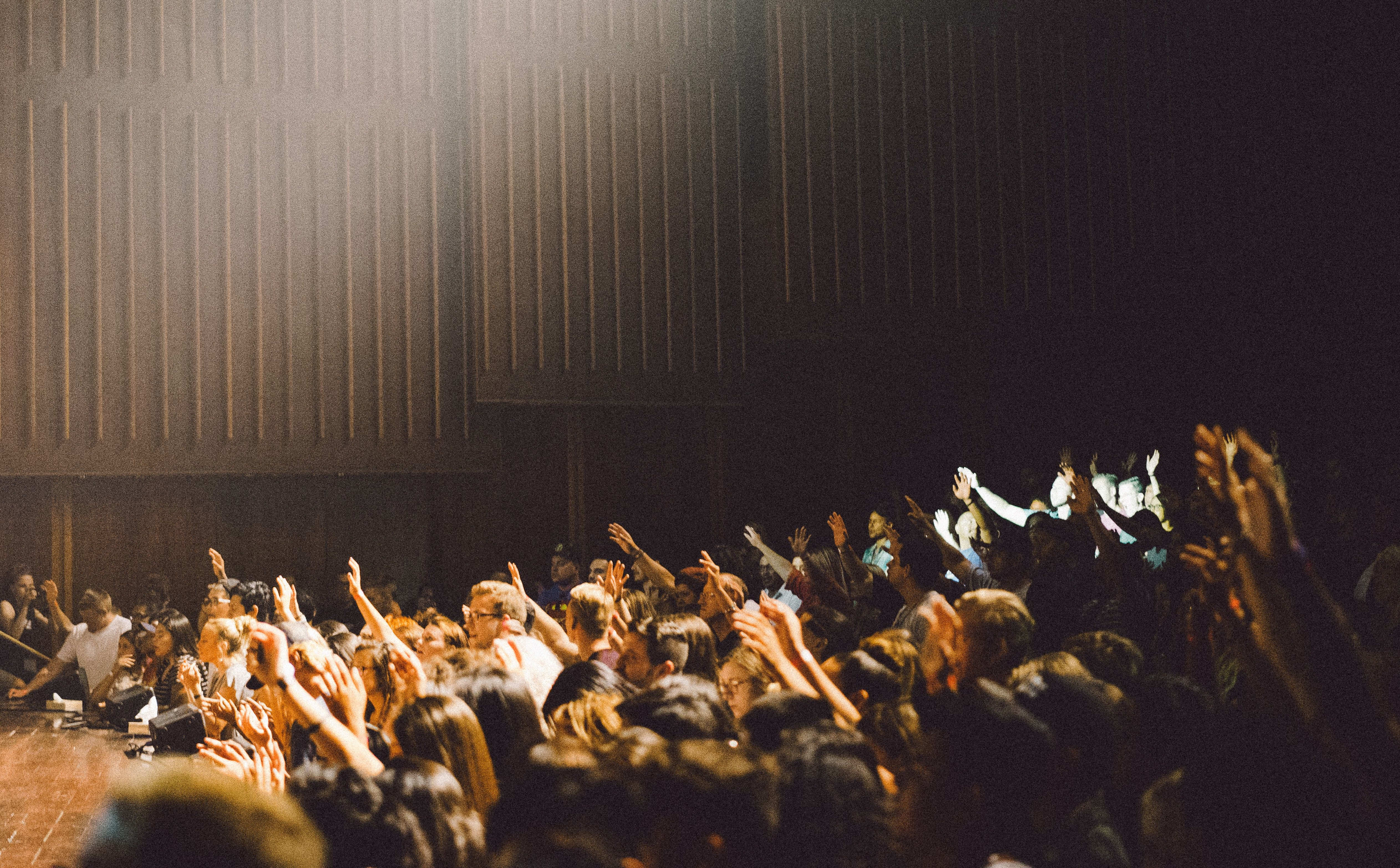 An audience in an auditorium, voting with raised hands.