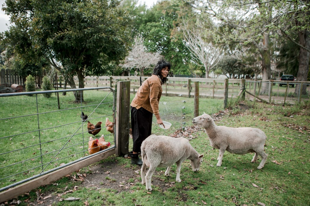 Anique feeds sheep outside her home in Whanganui