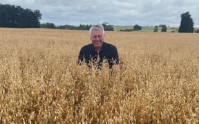 Oat grower Gordon Rennie of Fife in Scotland
