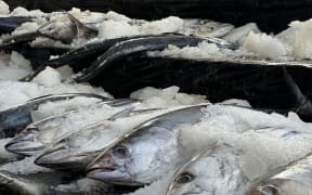Tuna on display in Nuku'alofa
