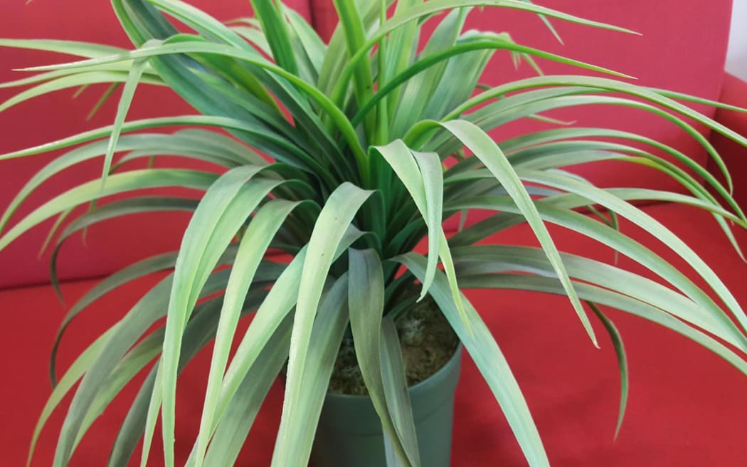 fake plant