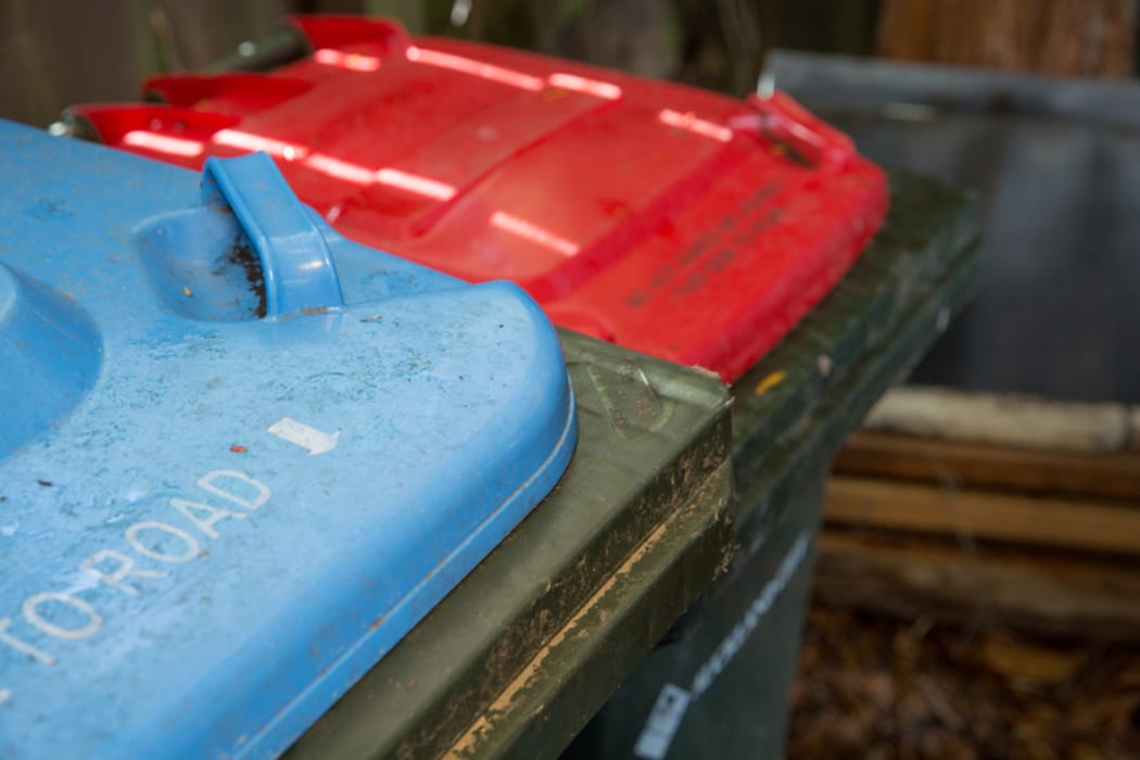 Rubbish and recycle bins at an Auckland home.