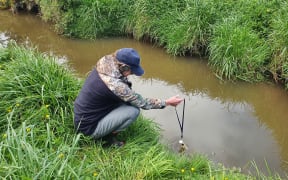 Christine tests water temperature and nitrate levels in the stream which runs through her property
