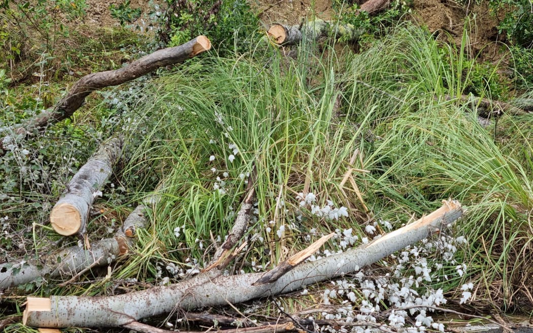 Damage in Wairoa following Cyclone Gabrielle.