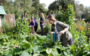 Te Ngaki o Waiutuutu - Waiutuutu Community Garden, at the University of Canterbury.