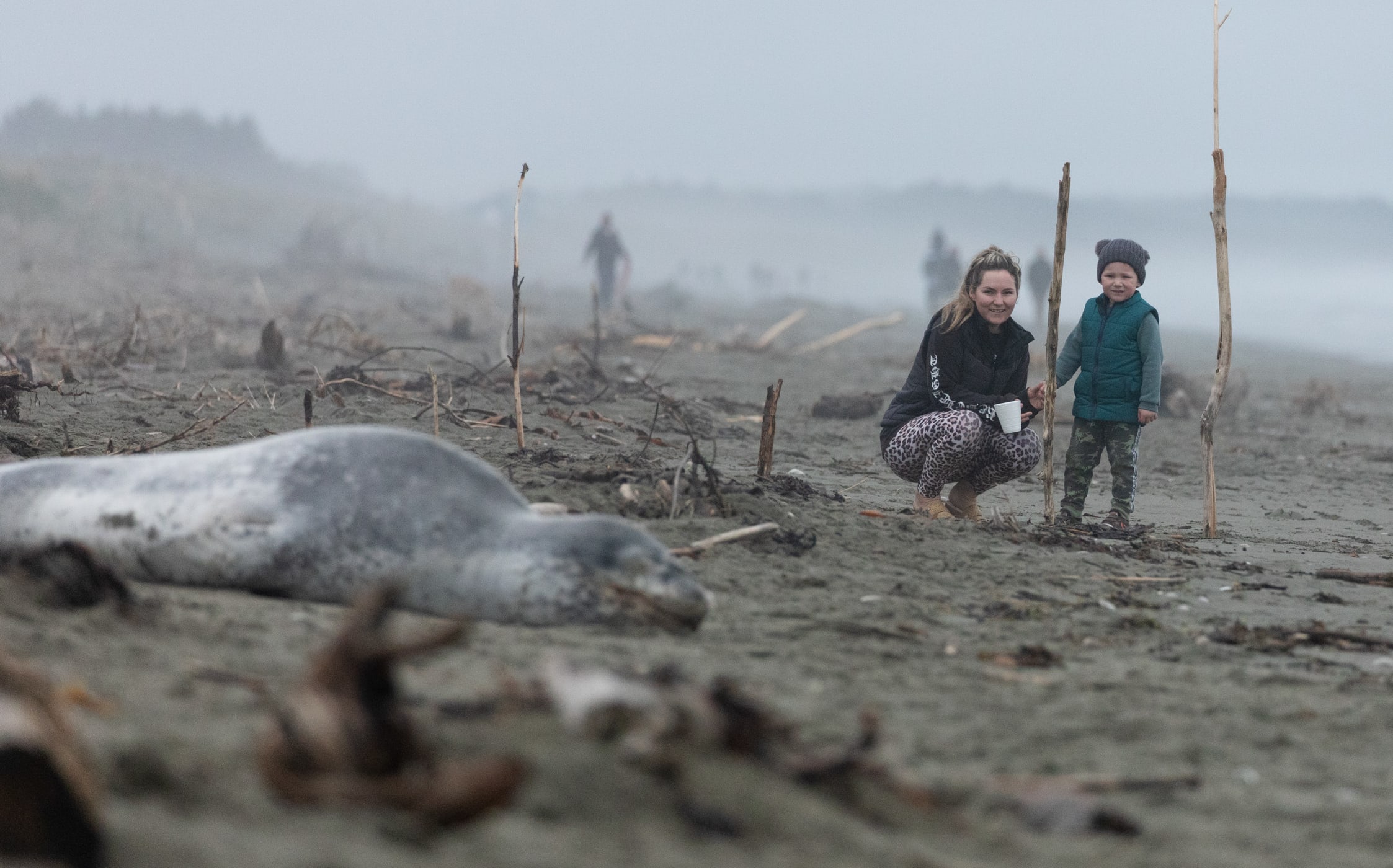 Beachgoers visiting the leopard seal at a Christchurch beach during lockdown level 4. (This photo was shot with a telephoto lens, to obey the DOC advice about keeping a safe perimeter).