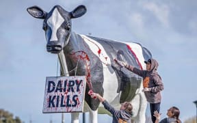 Activists cover the iconic cow statue at Fonterra's Whareroa plant in Taranaki with red paint.