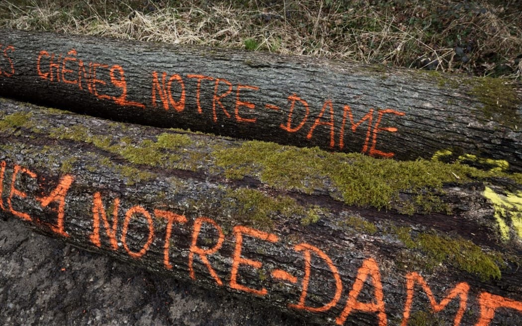 France, Haute Saone, Moffans et Vacheresse, forest, oak logs (Quercus) offered by the municipality to rebuild the frame of Notre Dame de Paris cathedral, march 2021 (Photo by BRINGARD Denis / hemis.fr / hemis.fr / Hemis via AFP)