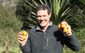 andrew martin tamarillos