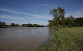 A man is missing after swimming in the Hutt River last night.
