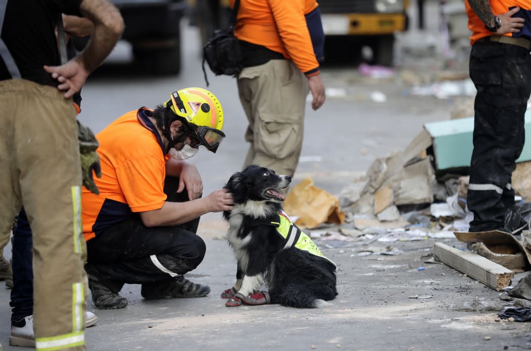 A Chilean rescue worker pets a sniffer dog as others dig through the rubble of a building in Lebanon's capital Beirut, in search of possible survivors from a blast at the adjacent port one month ago, after scanners detected a pulse, on September 3, 2020.