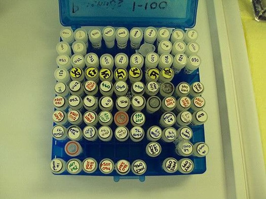 Plasmid Storage Box