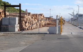 Logs fill the space at Eastland Port in central Gisborne.
