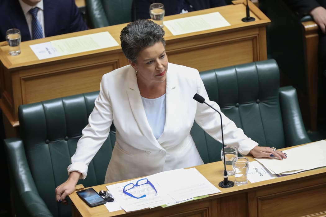 Deputy leader of the National Party Paula Bennett.