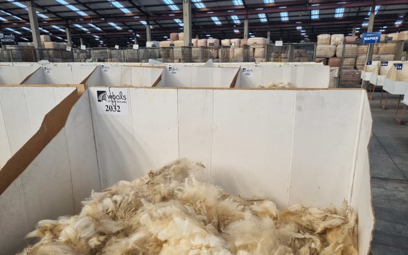 15-year high in wool prices as demand surges | RNZ