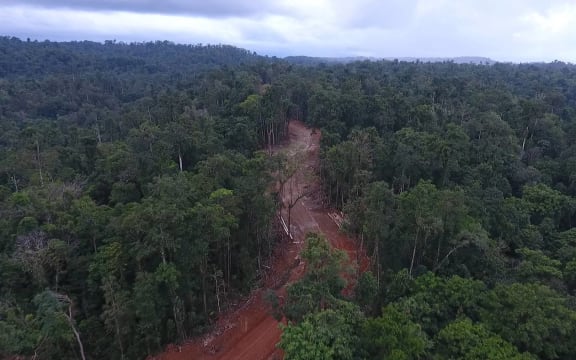 Logging road, Pomio, East New Britain.