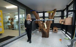Pet Refuge founder Julie Chapman in one of the rooms at the new facility