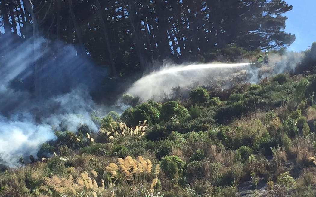 Firefighters at the Wadestown fire