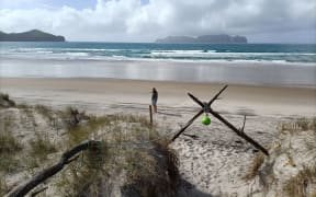 Tim Higham at a favourite location: the wild solitude of Whangapoua Beach, Aotea Great Barrier.
