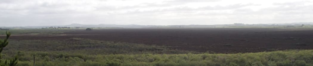 View of Whangmarino wetland