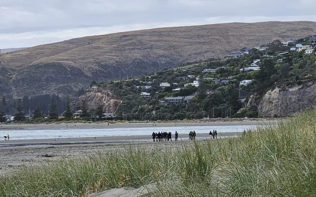 A number of people standing on a beach from far away.